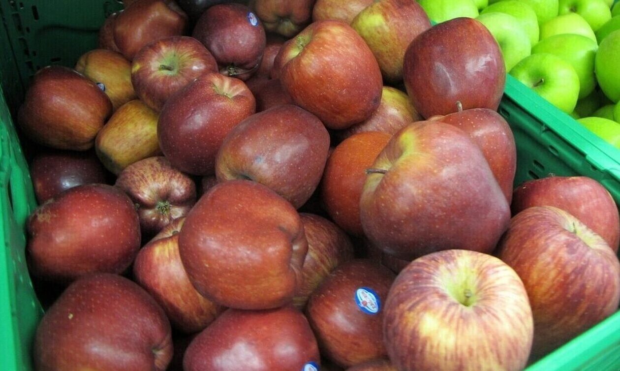 Στα... ψυγεία ακόμα μεγάλο μέρος της παραγωγής μήλων που σώθηκαν από την κακοκαιρία Daniel