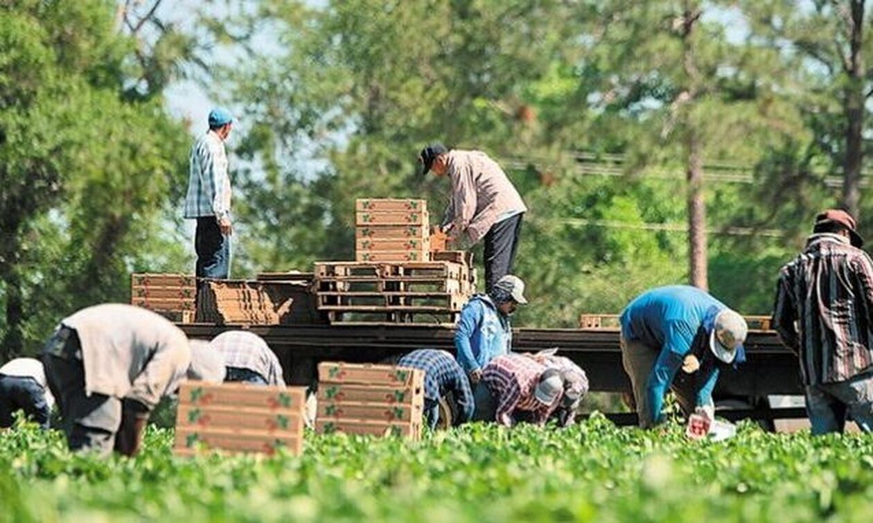 Βέροια: Πατέρας και γιος απειλούσαν εργάτες να δουλεύουν χωρίς αμοιβή στα χωράφια τους