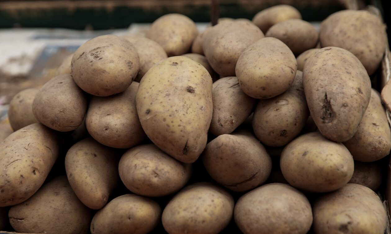 Πατάτες Νάξου: Εξαντλούνται στην αγορά - «Κρούουν το καμπανάκι» οι παραγωγοί