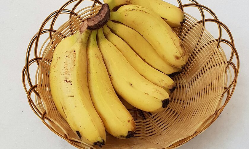 «Πράσινο φως» για την κατανάλωση της πρώτης γενετικά μεταλλαγμένης μπανάνας