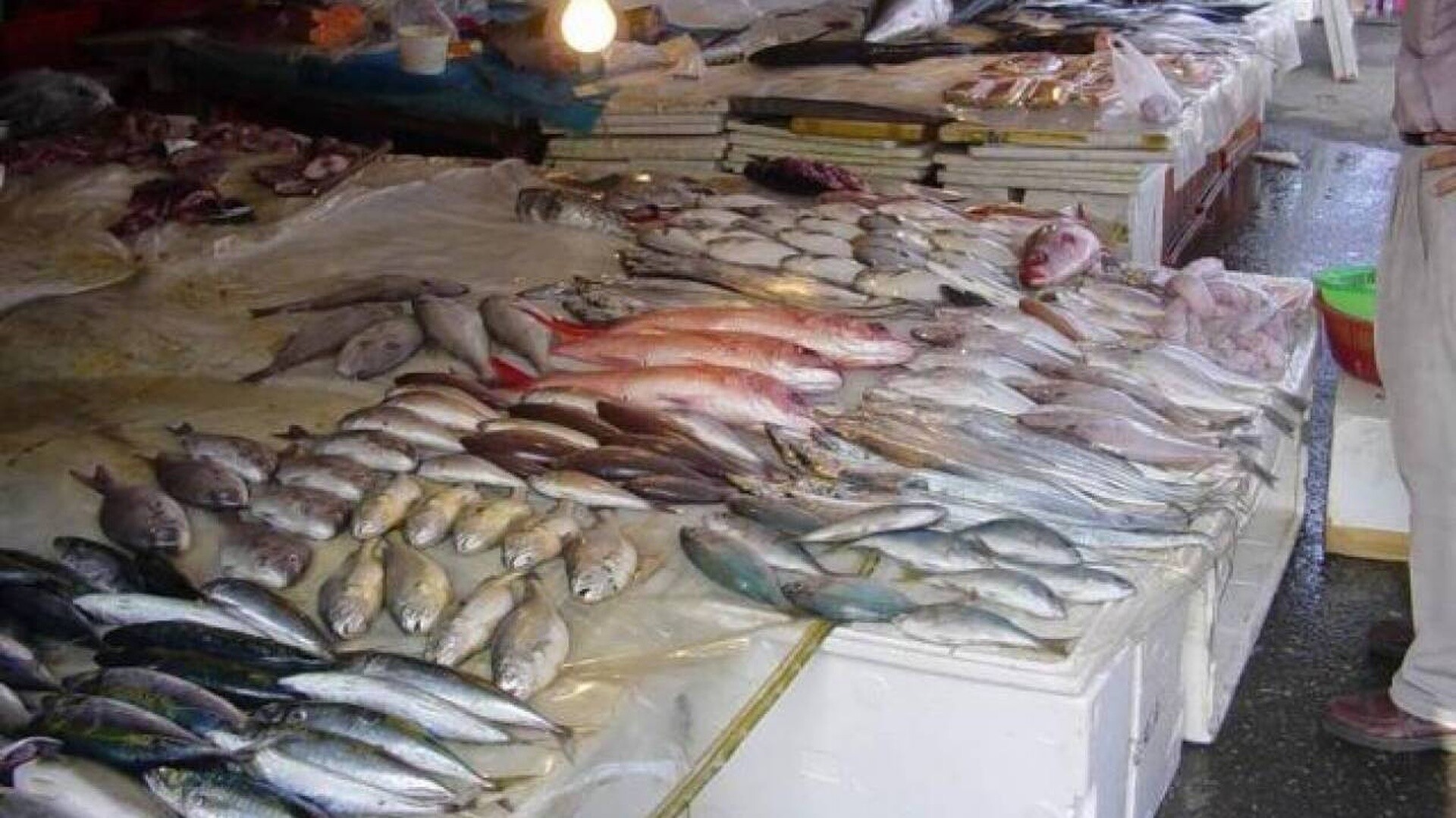 Νέα Μηχανιώνα: Κατασχέθηκαν 256 κιλά ψάρια και μαλάκια στην ιχθυόσκαλα