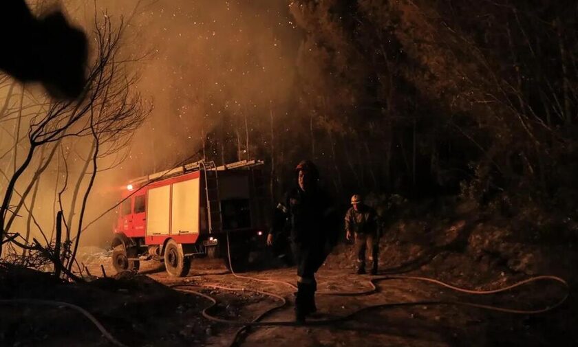 Λάρισα: Επί ποδός η Πυροσβεστική για φωτιά σε κασταναριό στην Καρίτσα