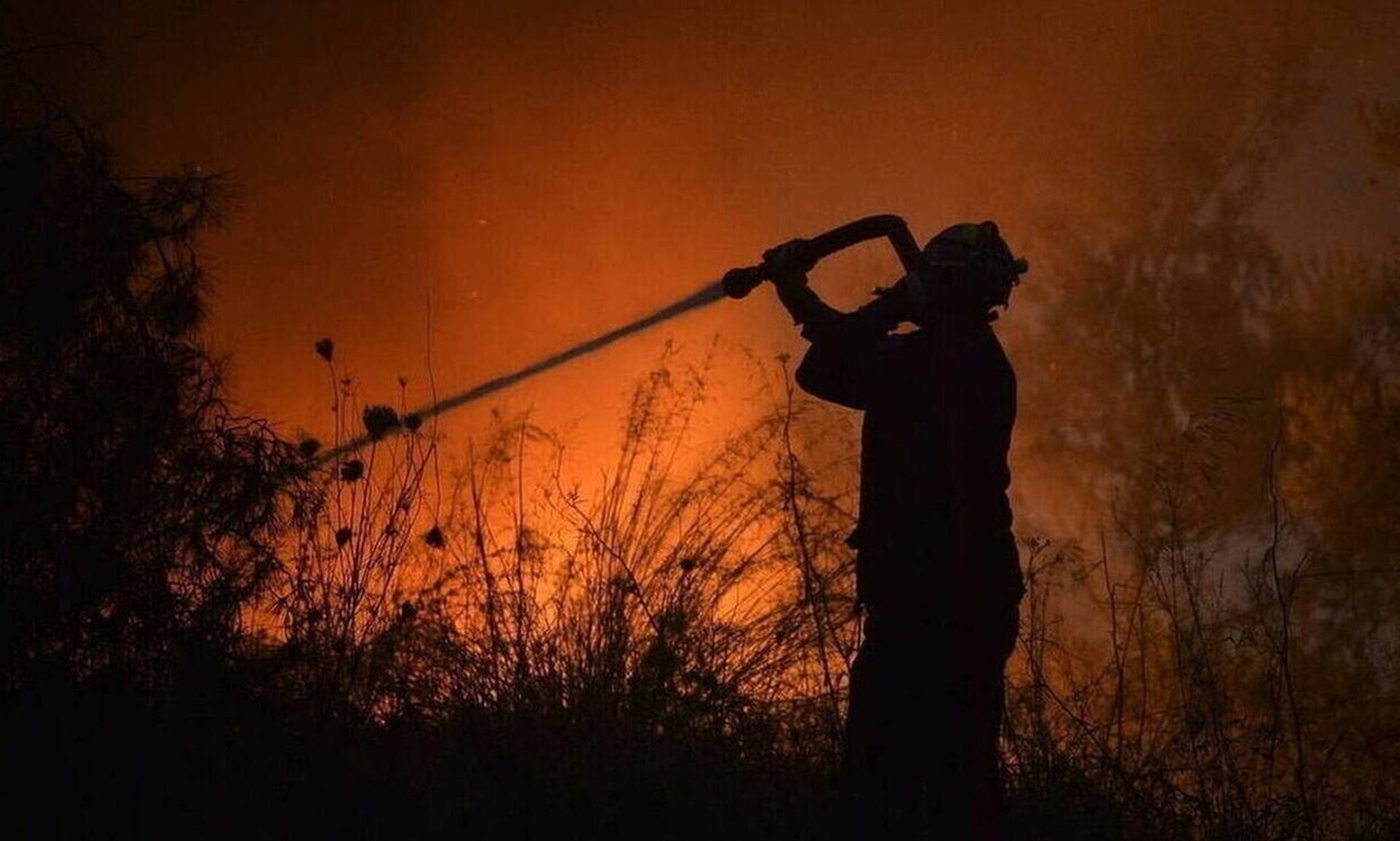 Μεσσηνία: Συναγερμός για πυρκαγιά σε δασική έκταση