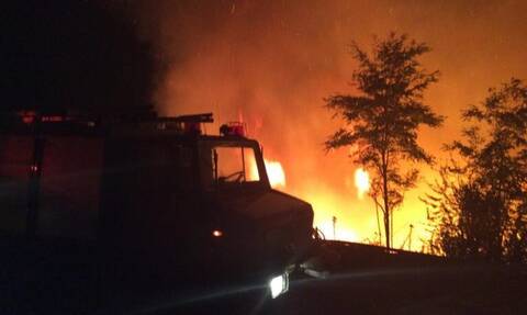 Φωτιά στον Ταΰγετο: Ολονύχτια η μάχη με τις φλόγες – Δεν απειλούνται κατοικημένες περιοχές