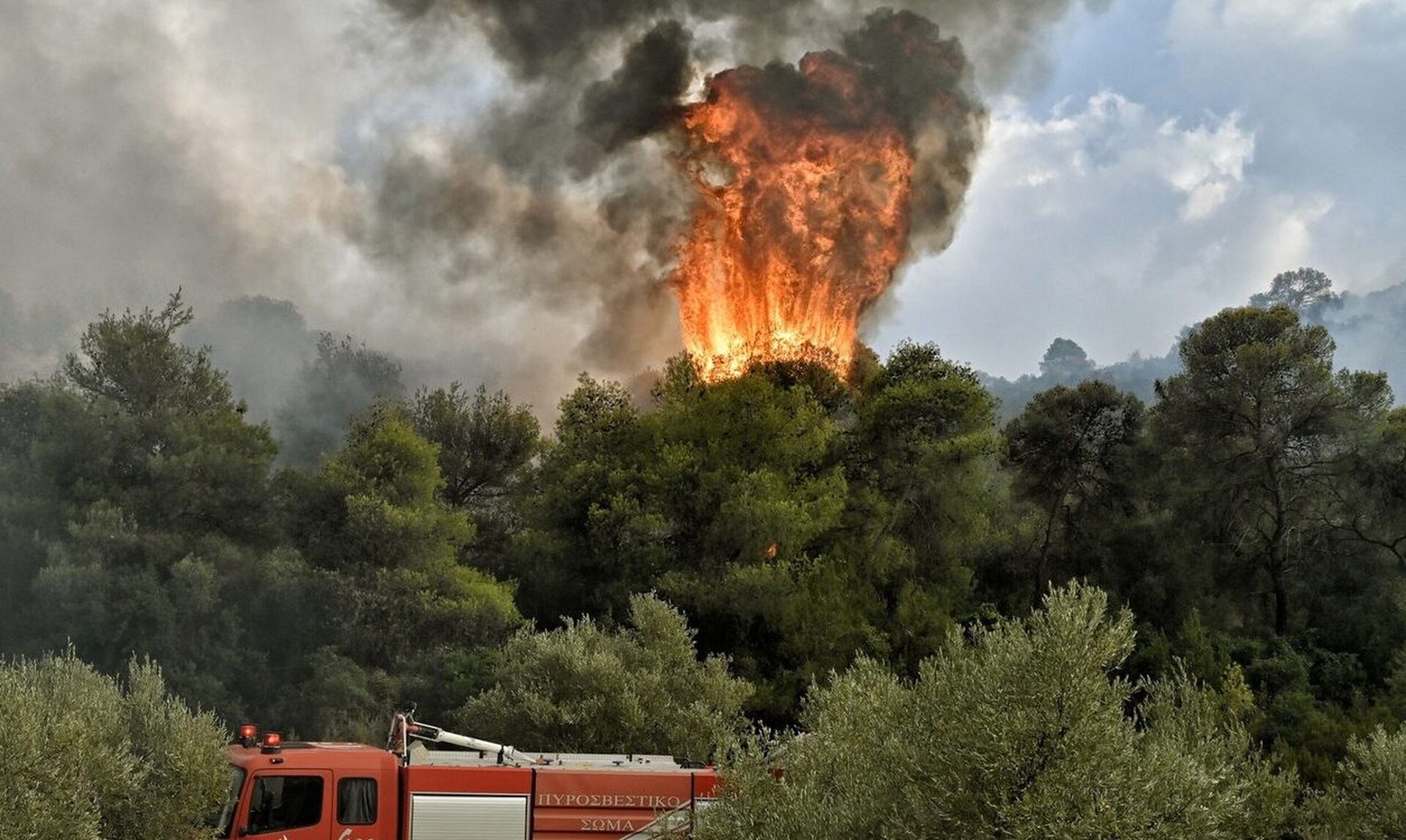Σε εξέλιξη η φωτιά στη Λακωνία - Ενισχύονται οι πυροσβεστικές δυνάμεις