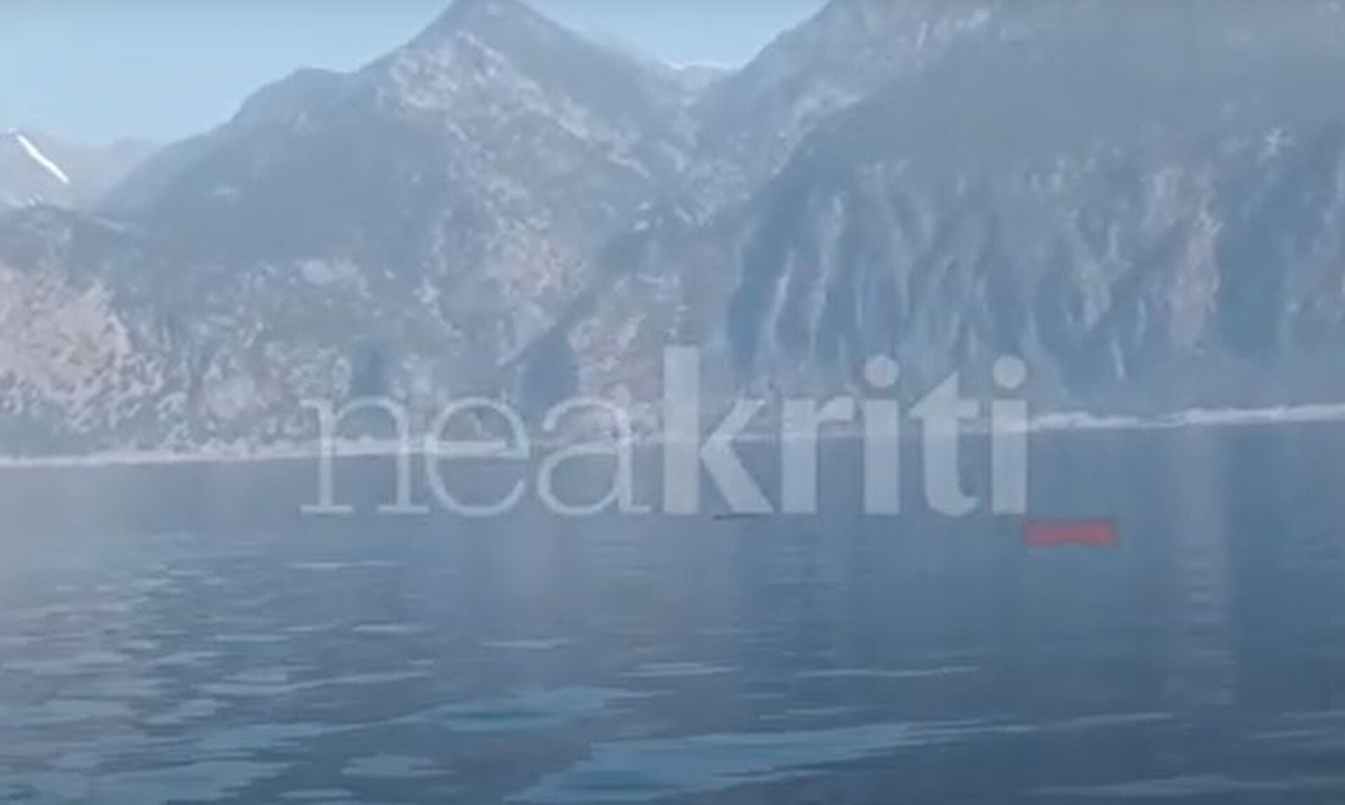 Φάλαινα φυσητήρας στα νότια της Κρήτης - Εντυπωσιακά βίντεο