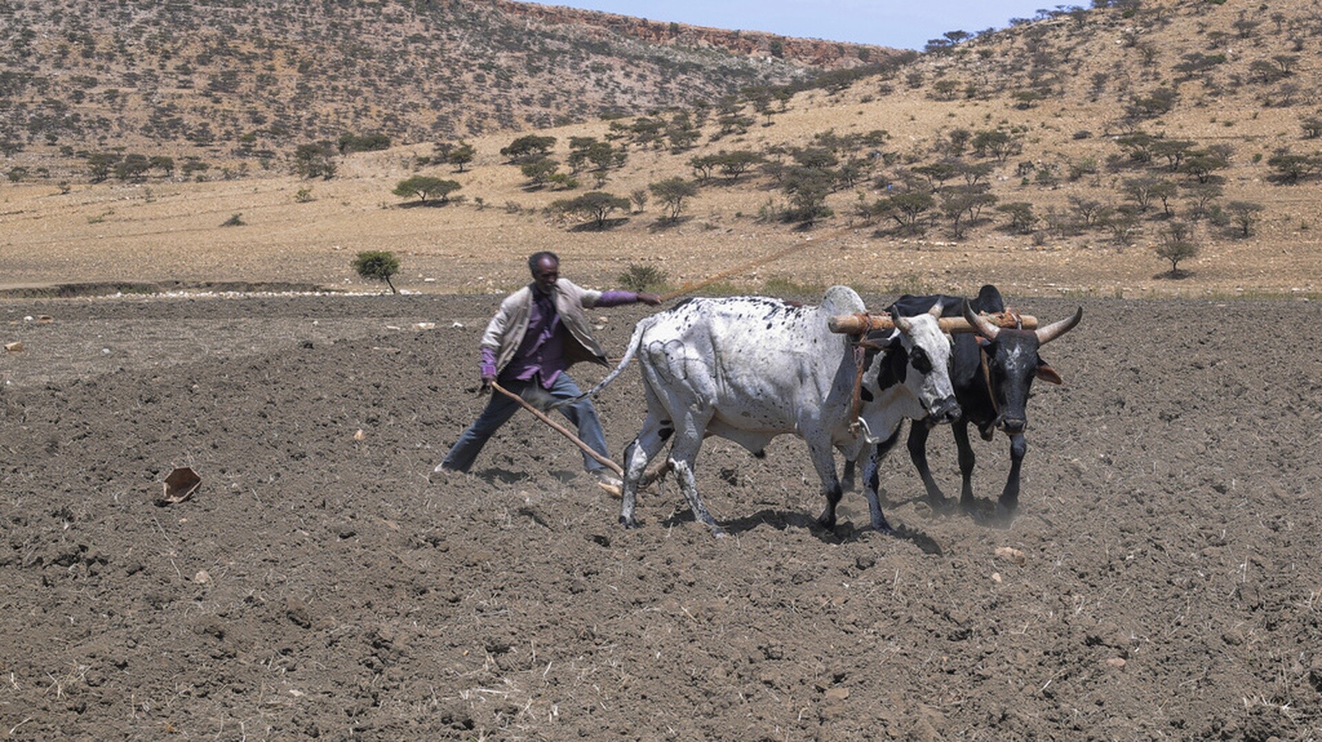Ζιμπάμπουε: «Εθνική Καταστροφή» η ξηρασία - Η χώρα βρίσκεται αντιμέτωπη με λιμό