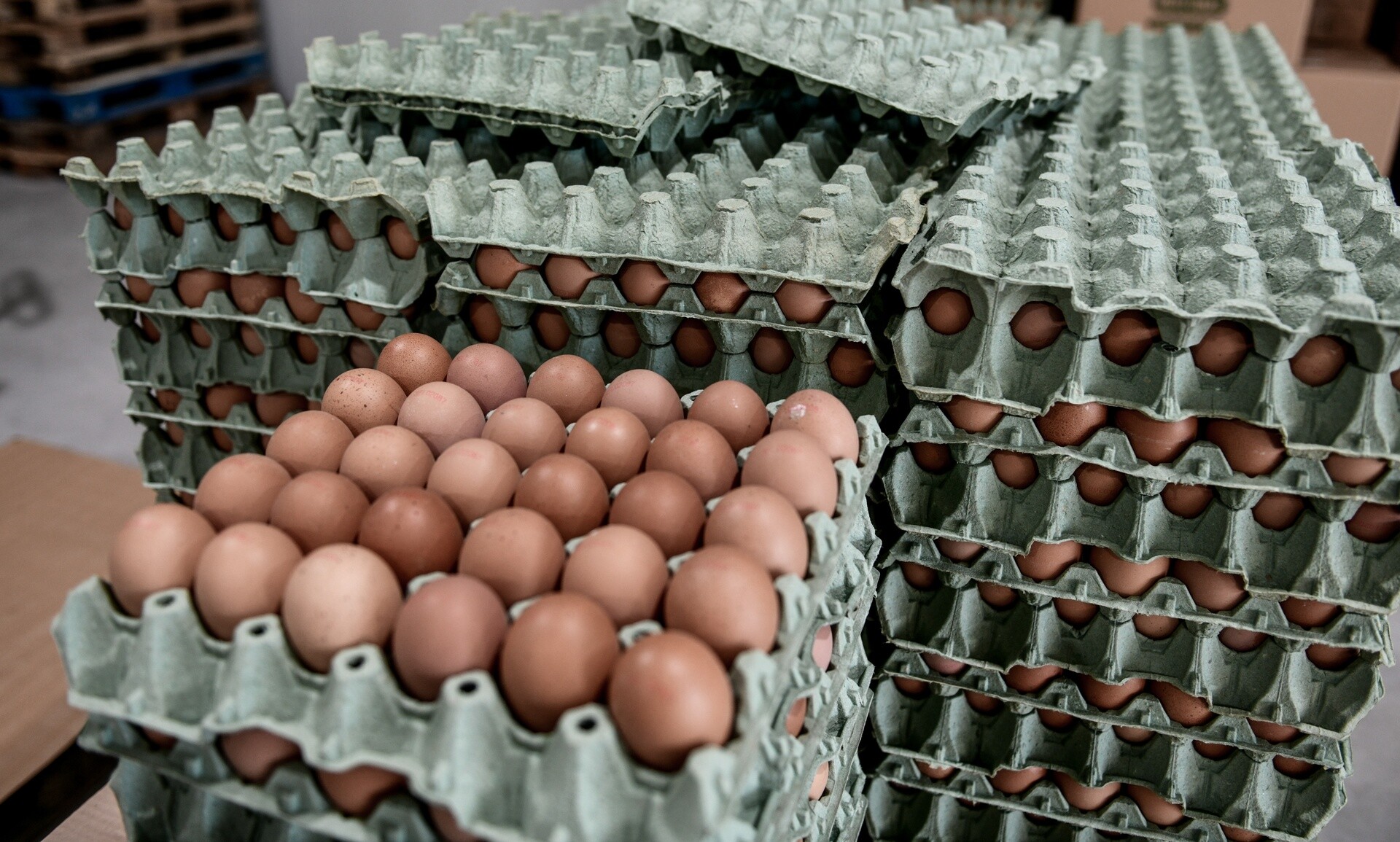 Ακρίβεια: Η Ελλάδα έχει την τέταρτη υψηλότερη τιμή στο αυγό στον κόσμο