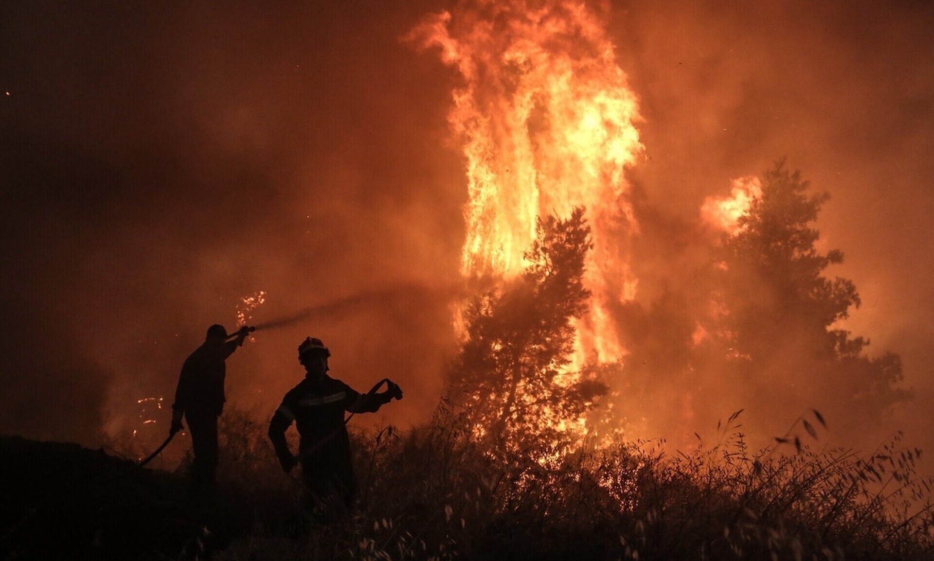 Γιατί έχουμε πυρκαγιές από τον Μάρτιο - SOS από την Πυροσβεστική για τον καθαρισμό των οικοπέδων