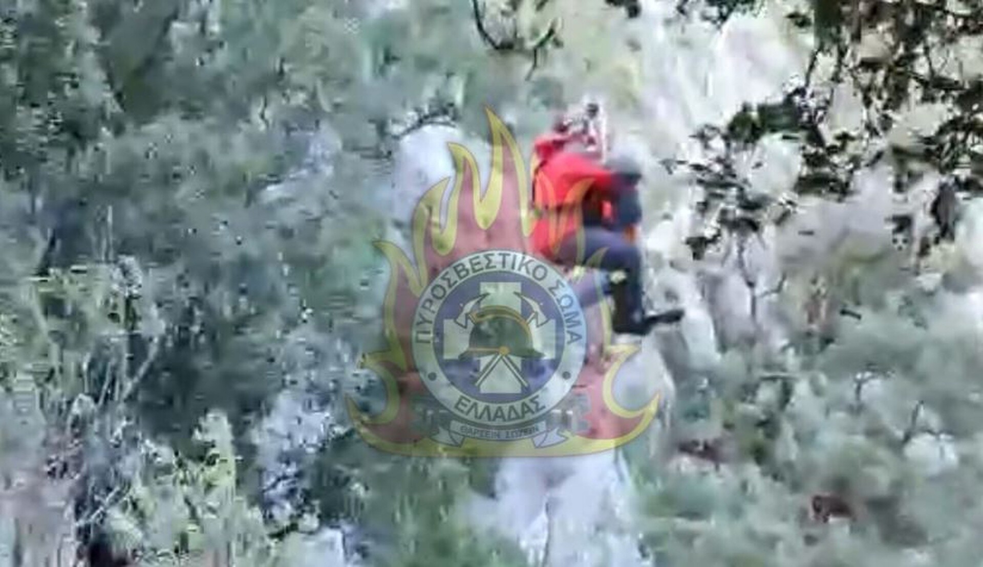 Περιπετειώδης διάσωση τουρίστριας στους Δελφούς από το ελικόπτερο της Πυροσβεστικής (vid)