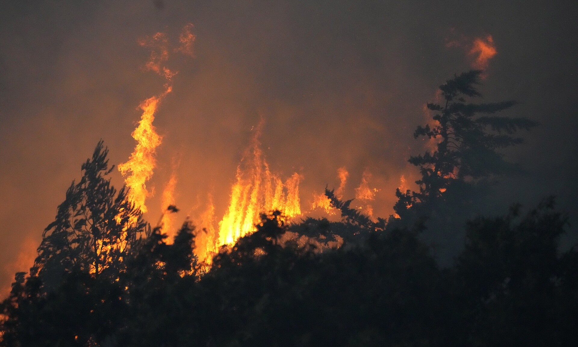 DW: Καίγονται ξανά τα δάση στην Ελλάδα