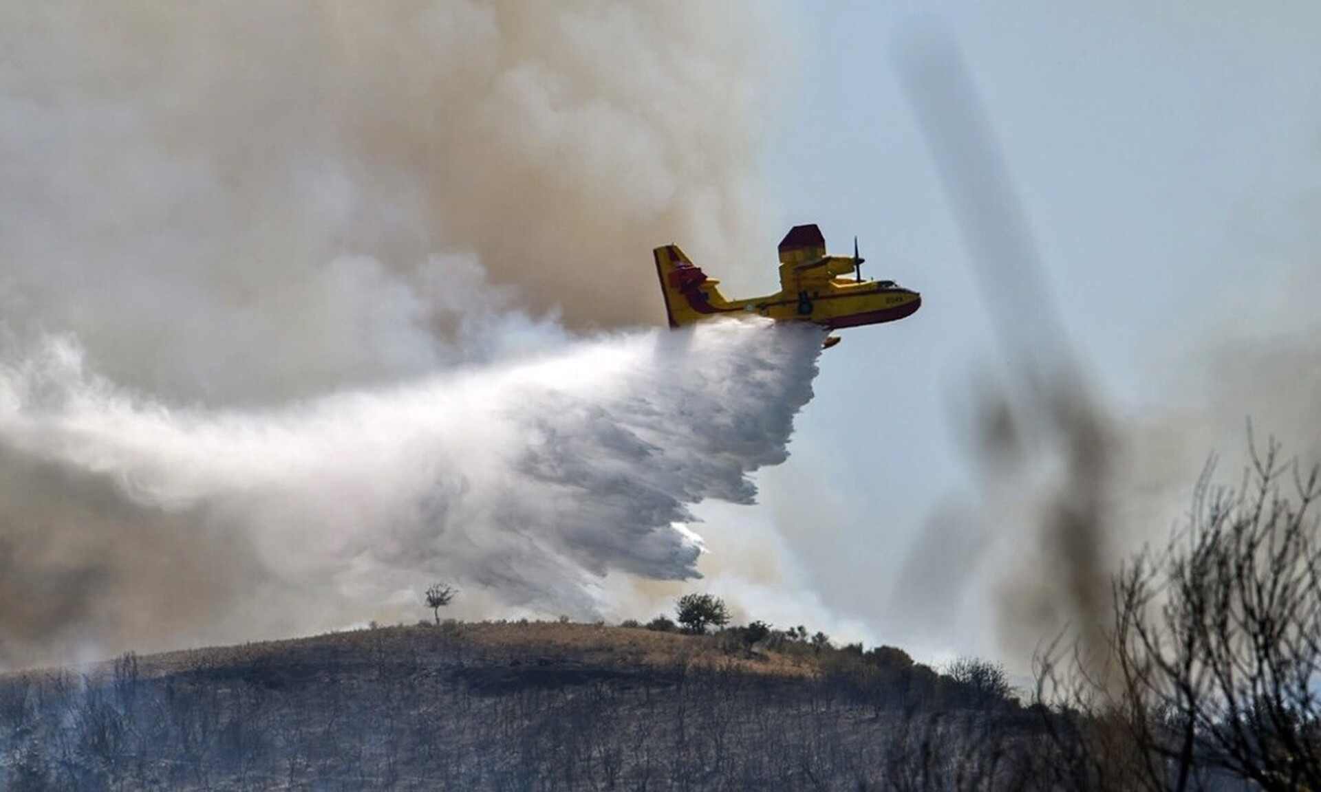 Φωτιά Λάρισα: Ενισχύθηκαν οι πυροσβεστικές δυνάμεις - Στη μάχη και ελικόποτερο