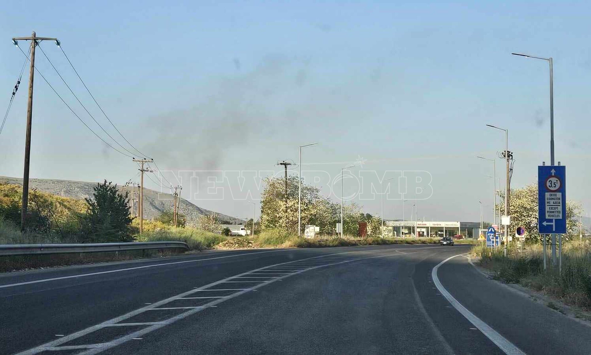 Φωτιά σε δασική περιοχή του Ορχομενού - Ορατοί οι καπνοί στην Εθνική Οδό (pics)