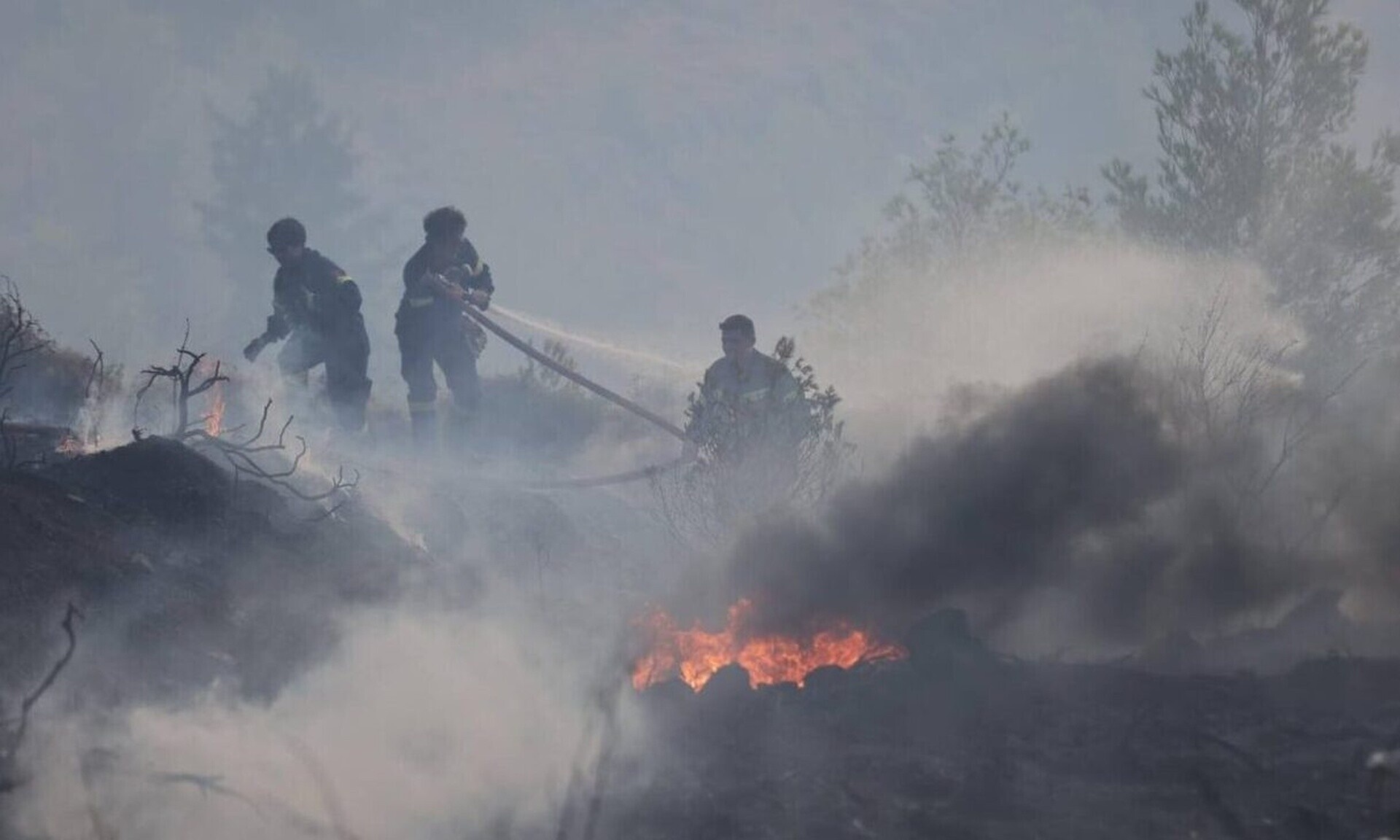 Πυρκαγιά στον Ερύμανθο Αχαΐας - Επιχειρεί ισχυρή πυροσβεστική δύναμη και αεροσκάφος