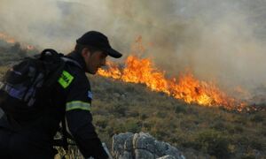 Συναγερμός για φωτιά σε δασική έκταση στο δήμο Σπάτων - Αρτέμιδος - Σηκώθηκαν και εναέρια μέσα