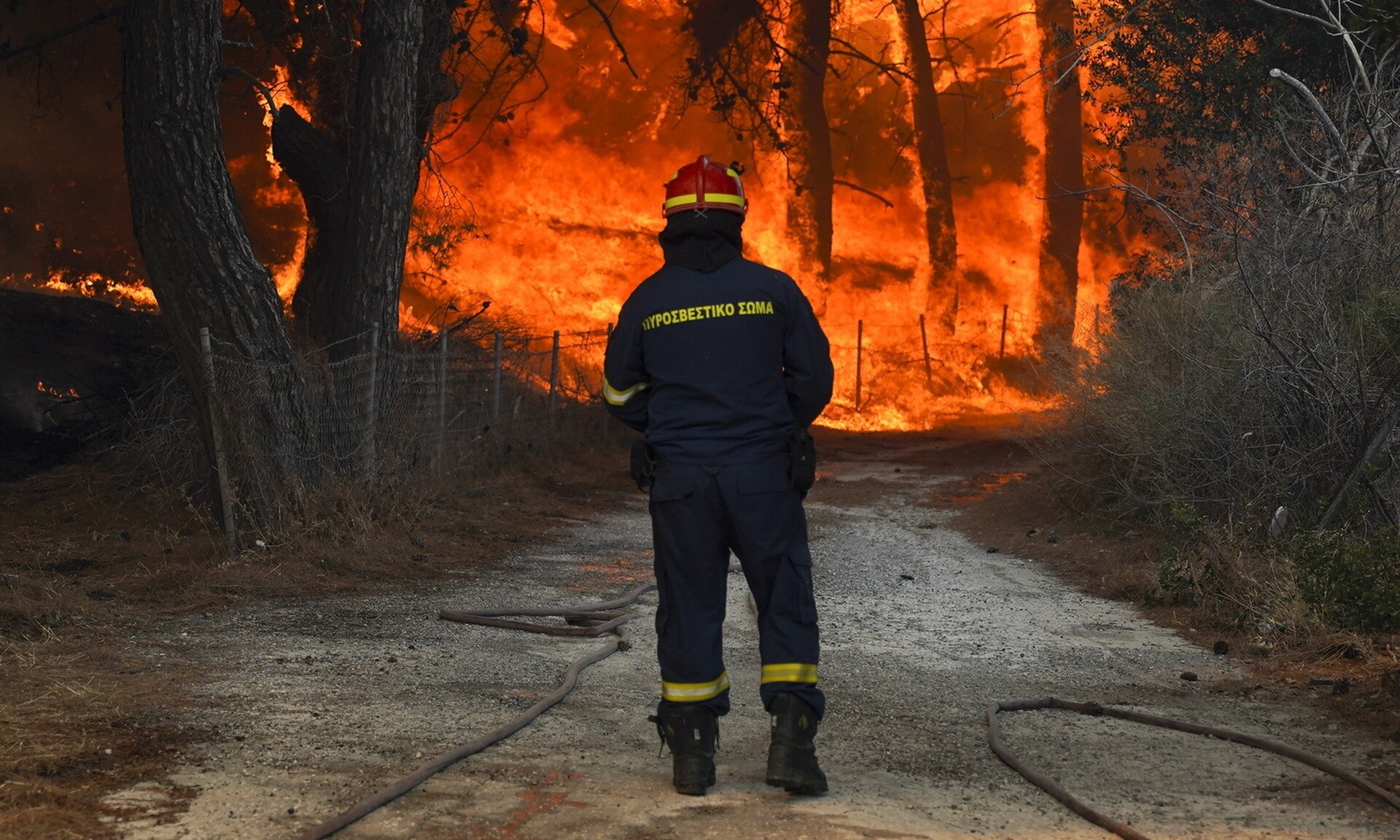Πυροσβεστική: 47 αγροτοδασικές πυρκαγιές μέσα σε 24 ώρες