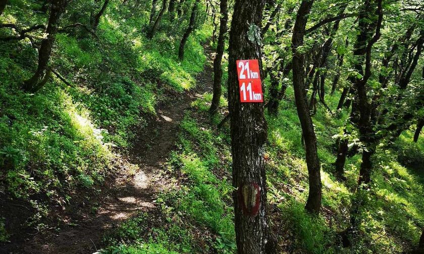 Έρχεται το τρίτο «Ipsilantis Trail» με ανεπανάληπτες διαδρομές στη βοιωτική φύση