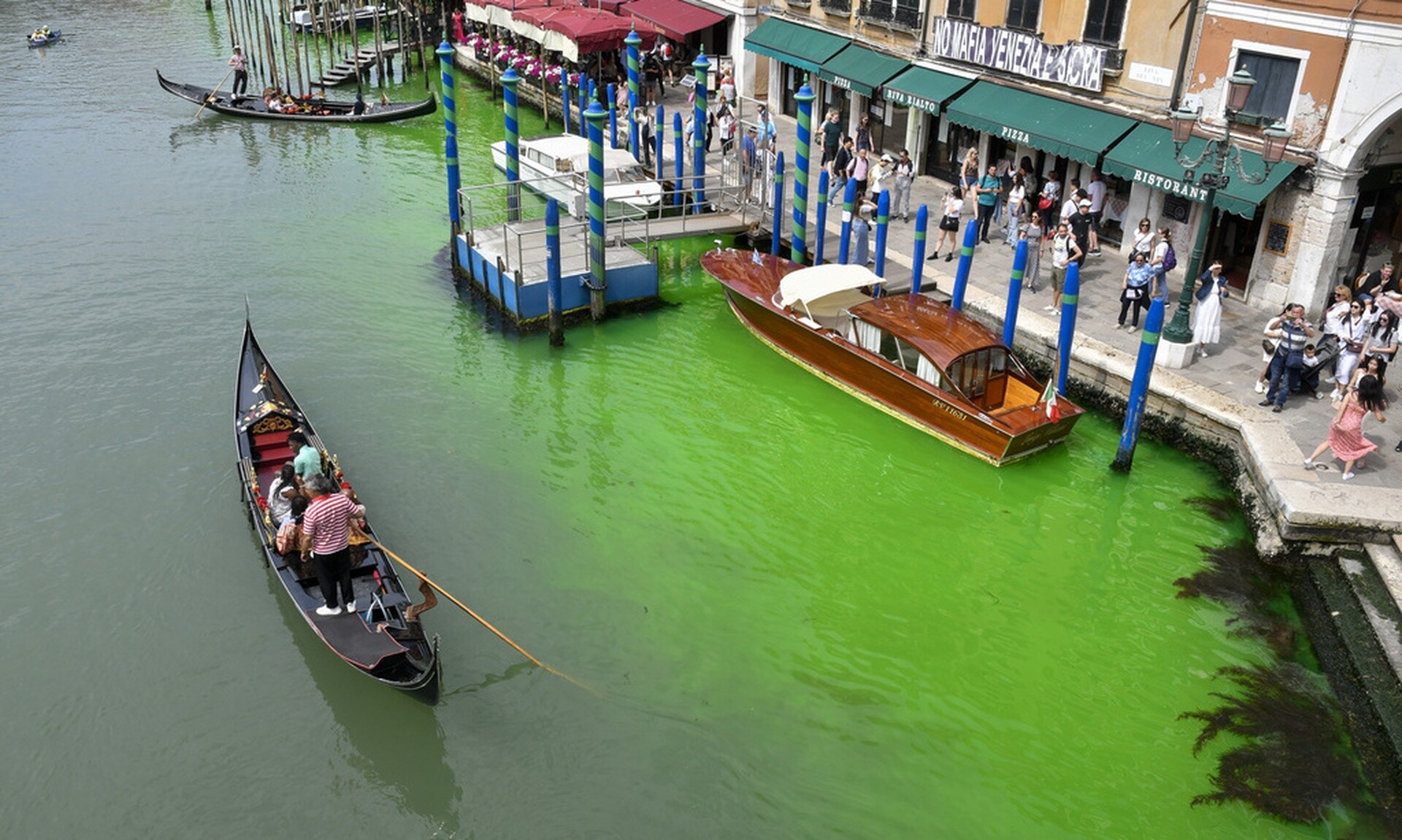 Βενετία: Οι ακτιβιστές «χτύπησαν» ξανά, έβαψαν πράσινο και κόκκινο το Μεγάλο Κανάλι