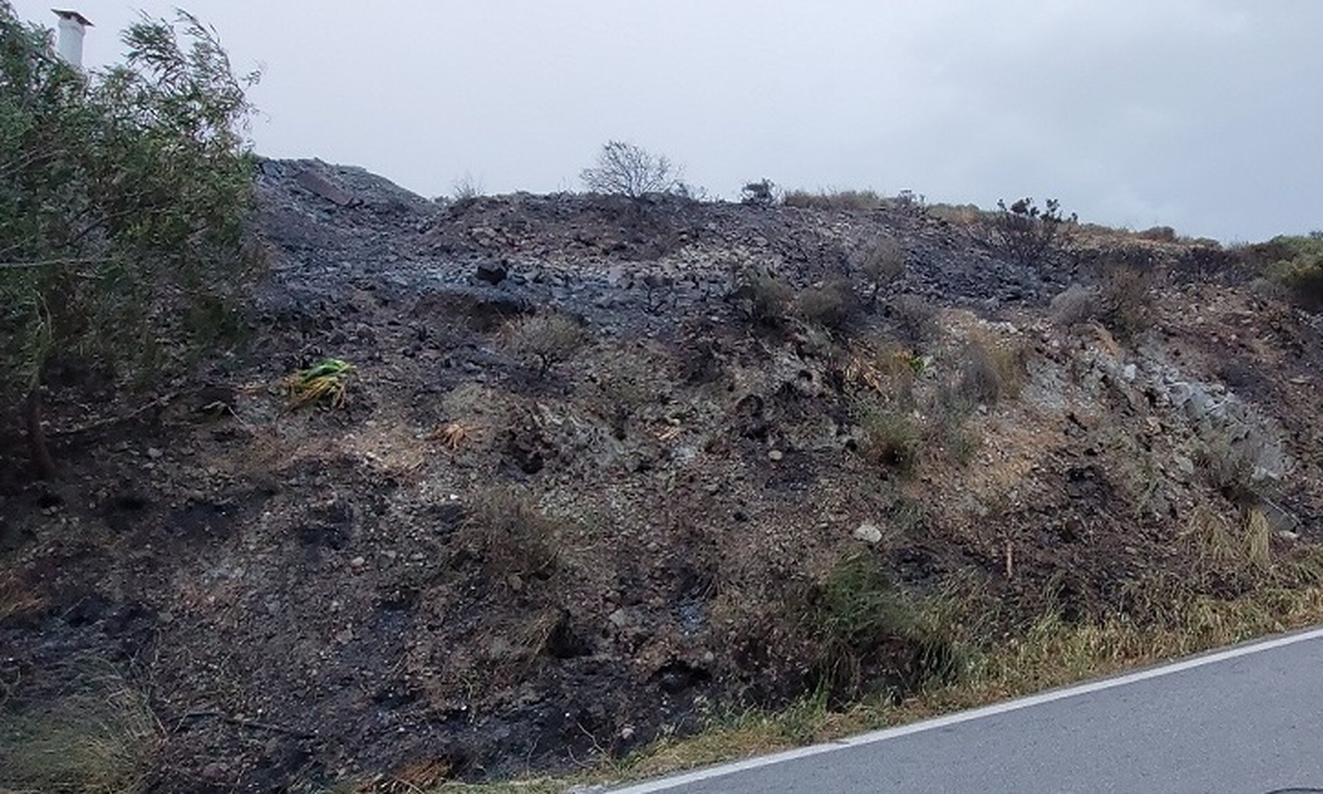 Φωτιά στην Πάρο: Δύο συλλήψεις για την πρόκληση της πυρκαγιάς – Προσπάθησαν να κάψουν ξερά κλαδιά