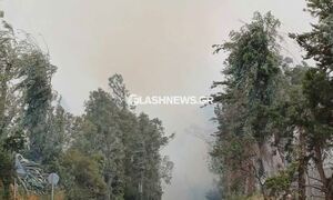 Φωτιά στη Σούδα: Εκκενώθηκε ο οικισμός Ναύσταθμος -