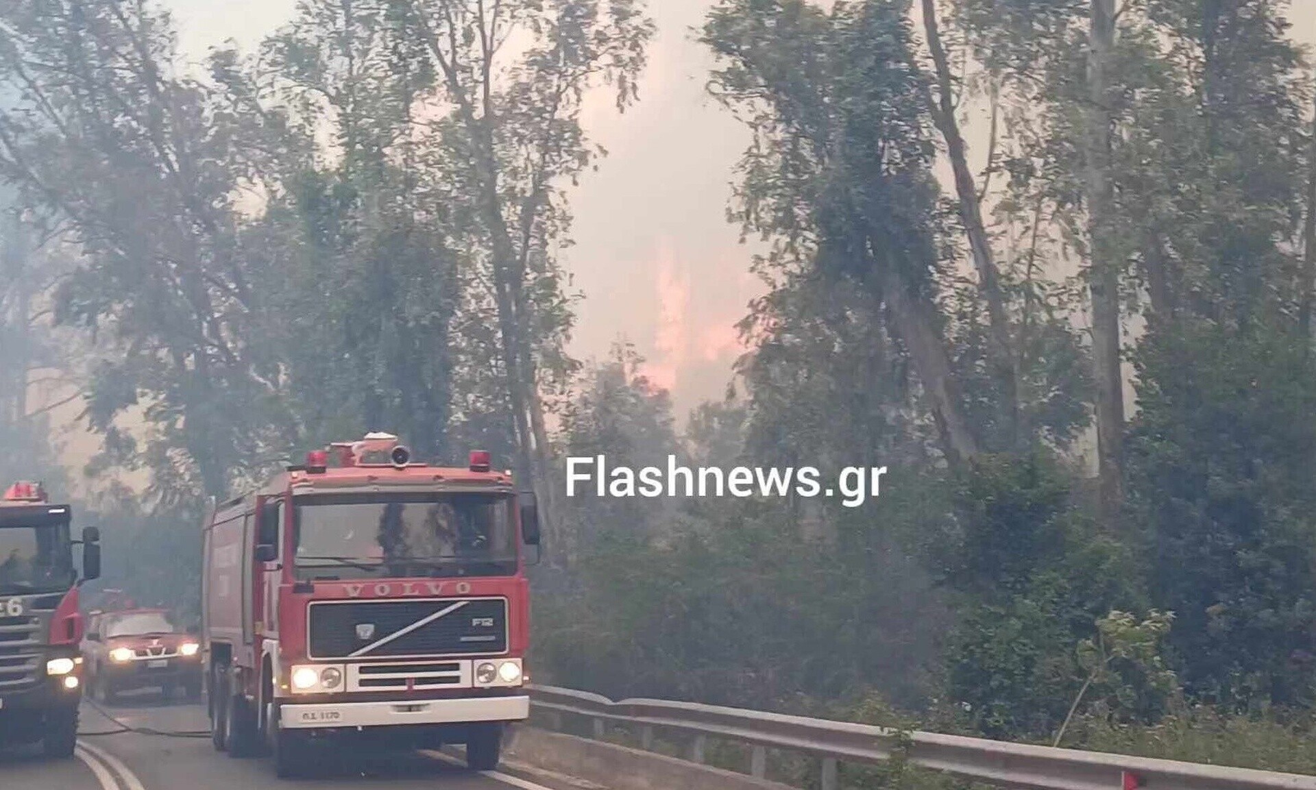 Fire in forest area in Chania
