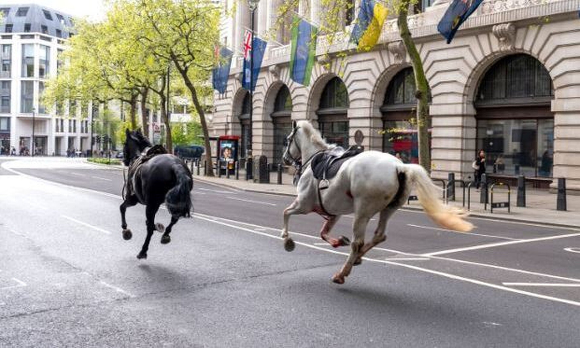 Σκηνές «Φαρ Ουέστ» στο Λονδίνο: Άλογα τρέχουν ελεύθερα στο κέντρο της πόλης