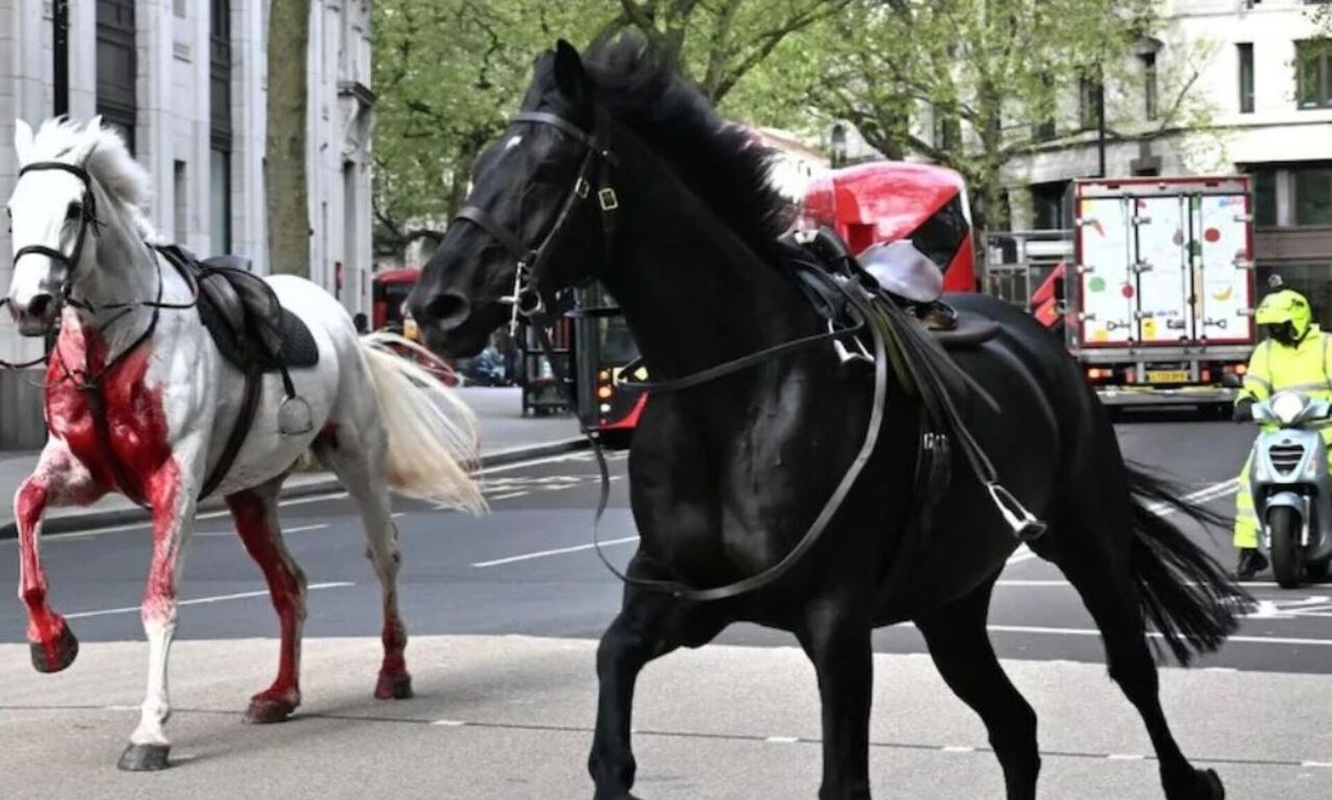 Χάος στο Λονδίνο: Άλογα το «έσκασαν» απο άσκηση και προκάλεσαν κομφούζιο - Πέντε τραυματίες