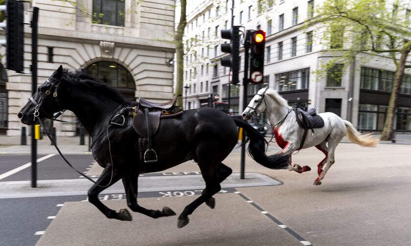 Σε σοβαρή κατάσταση δύο άλογα που δραπέτευσαν από άσκηση στο Λονδίνο