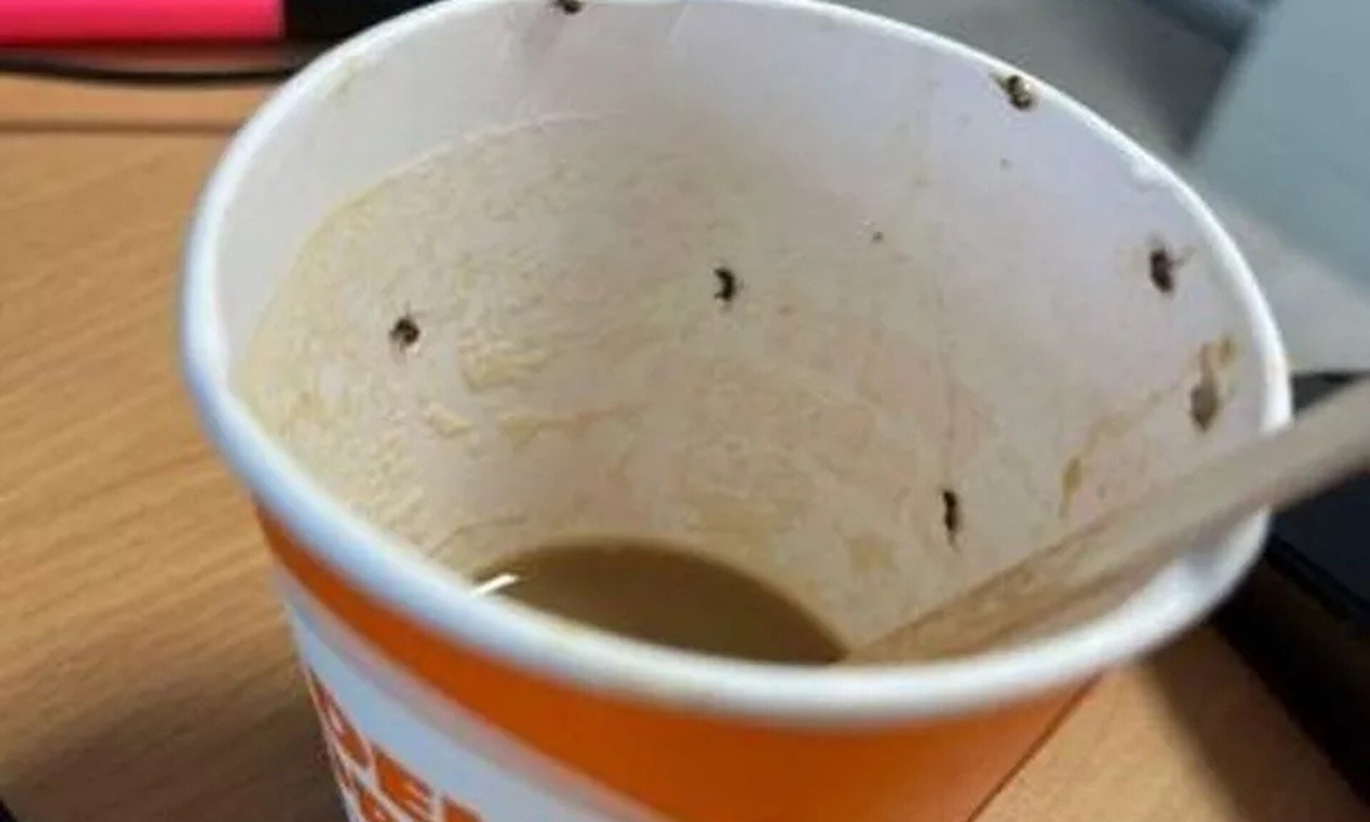 Σοκ για 21χρονη: Πήρε καφέ από αεροδρόμιο γεμάτο... έντομα - Βρέθηκε στην εντατική
