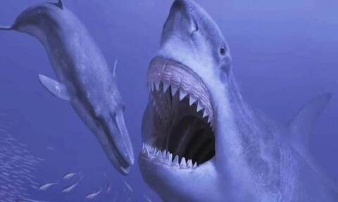 Επιστήμονες ανακάλυψαν σπάνιο απολίθωμα του προγόνου των λευκών καρχαριών