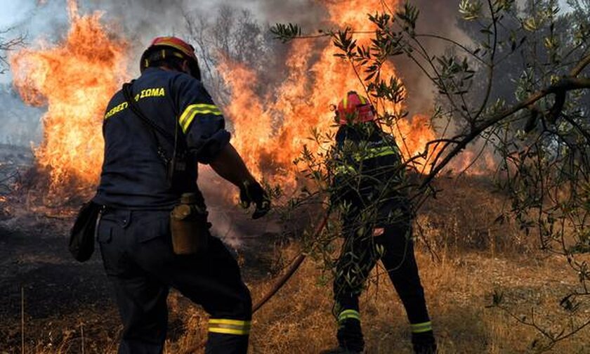 Wildfire burns farmland and forest in the municipality of Monemvasia