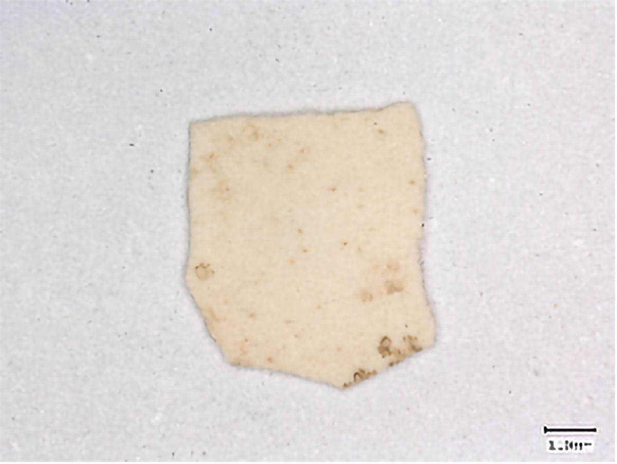 Eggshell-Fragment-From-the-Site-of-Bash-Tepa.jpg