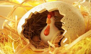 Η κότα έκανε το αυγό ή το αυγό την κότα; - Νέα έρευνα προσπαθεί να δώσει απάντηση στο αιώνιο ερώτημα