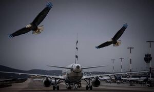 Κίνδυνος-θάνατος τα πουλιά για την ασφάλεια των πτήσεων - Πώς ένα άγριο πτηνό δίνει τη... λύση