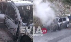 Εύβοια: Αυτοκίνητο λαμπάδιασε εν κινήσει