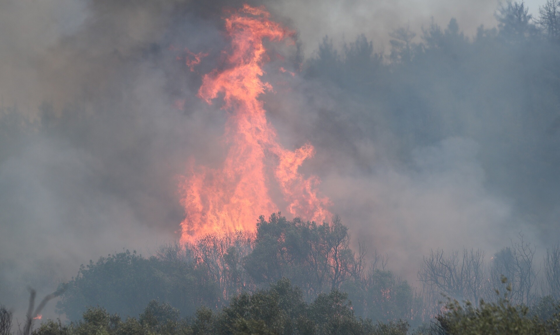 Φωτιά τώρα στην Στυλίδα: Ισχυρή κινητοποίηση της Πυροσβεστικής