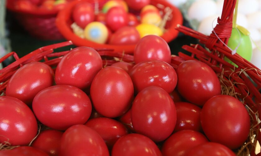 Μυτιλήνη: Το φυτό που χρησιμοποιούσαν οι φτωχοί για τη βαφή των κόκκινων αυγών