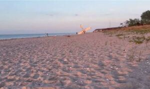 Νέα Υόρκη: Αεροσκάφος «καρφώθηκε» με την μύτη σε παραλία ενώ έκανε αναγκαστική προσγείωση