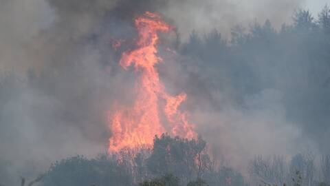 Πήλιο: Φωτιά σε αγροτοδασική έκταση κοντά στο Μούρεσι - Πνέουν ισχυροί άνεμοι