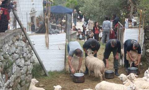 Κρήτη: Ευλόγησαν και φέτος τα πρόβατα στην Ασή Γωνιά