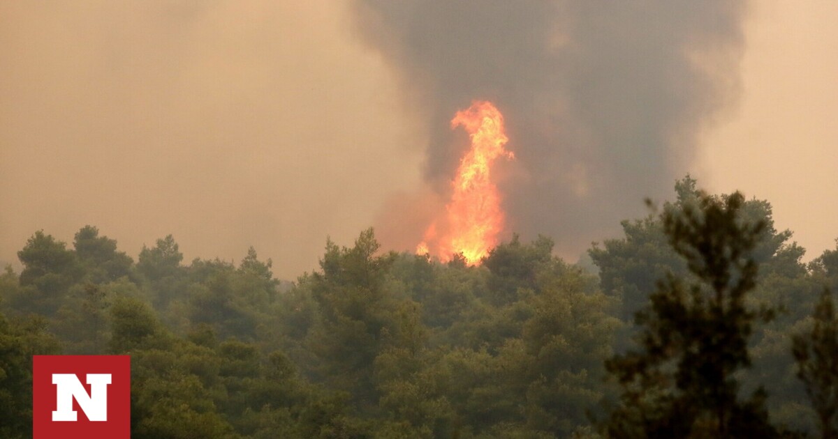Πυροσβεστική: 19 αγροτοδασικές πυρκαγιές μέσα σε 24 ώρες