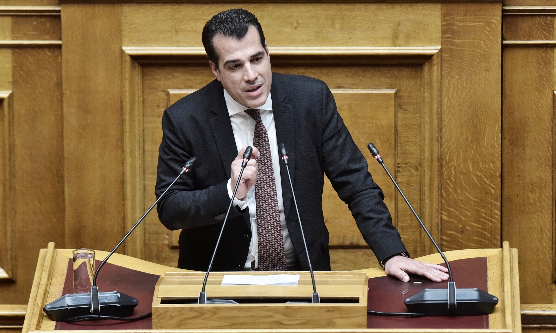 Θάνος Πλεύρης: Ο Ράμα έρχεται στην Ελλάδα γιατί ενοχλήθηκε από την υποψηφιότητα Μπελέρη