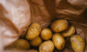 Πατάτα από... χρυσάφι - Γιατί εξαφανίζεται σε πολλές περιοχές της χώρας