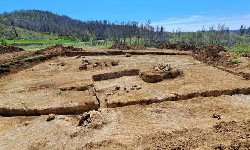 Μυτιλήνη: Ανασκαφή, προστασία και ανάδειξη του Απολιθωμένου Δάσους Κερασιάς στη βόρεια Εύβοια 