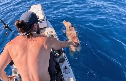 Πάρος: Απίστευτο και όμως αληθινό - Ψάρεψε... σκύλο από τη θάλασσα (video)