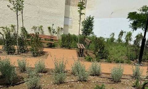 Θεσσαλονίκη: Δημιουργήθηκε νέο «πάρκο τσέπης» με 456 αρωματικά φυτά και δέντρα στην Τούμπα
