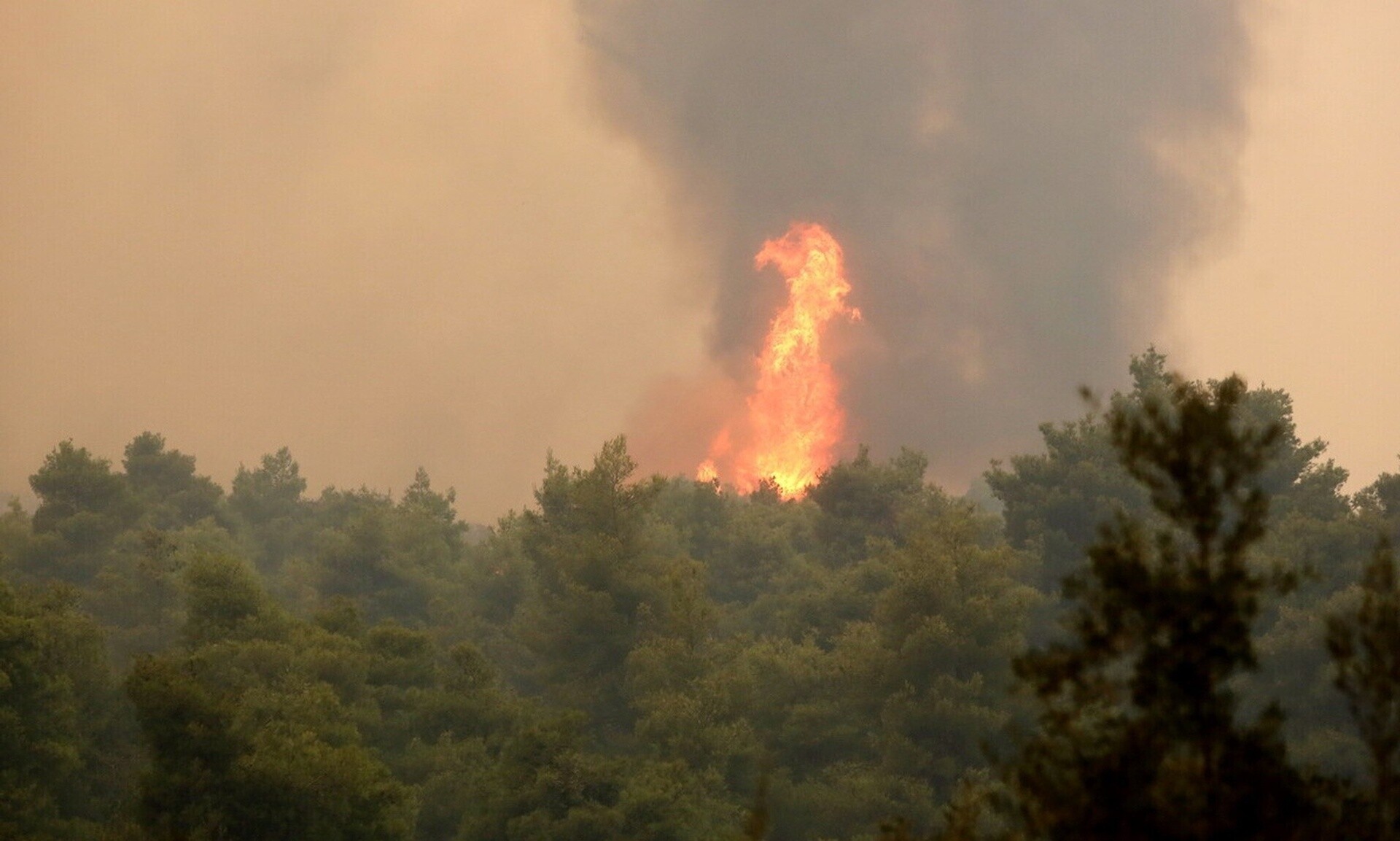 Πυροσβεστική: 11 αγροτοδασικές πυρκαγιές μέσα σε 24 ώρες