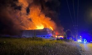 Λαμία: Εξακολουθεί να καίει η φωτιά στο εργοστάσιο που παρασκεύασε τα χαλασμένα σχολικά γεύματα