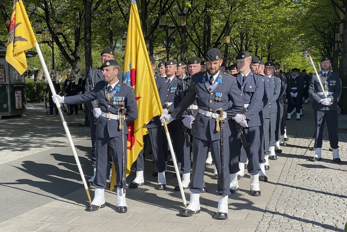 Σουηδοί στρατιώτες 