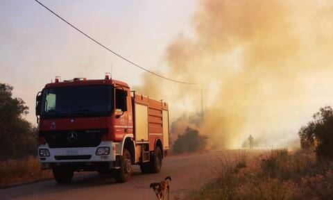 Λάρισα: Συναγερμός για φωτιά στο εργοστάσιο της Βιοκεράλ– Στο σημείο δυνάμεις της Πυροσβεστικής